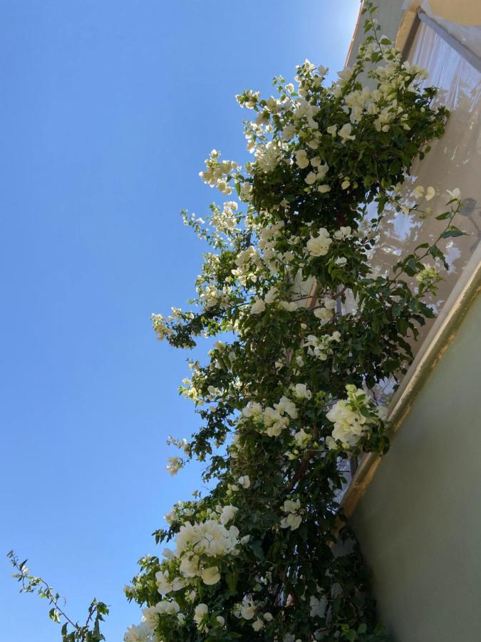 Simple Home Madaba Exterior photo